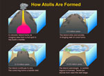 Atoll formation
