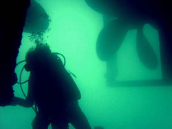 A NOAA diver conducting a marine alien species vessel inspection.