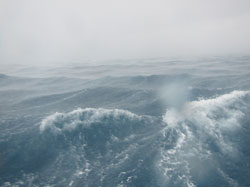 Stormy seas could not keep our scientists out of the water.