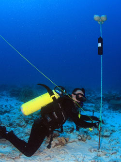 Carl Meyer deploys an acoustic receiver on the seafloor.