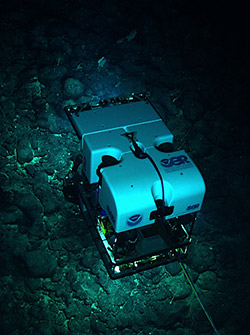 The ROV <em>Deep Discoverer</em> explores the deep waters of the Monument.
