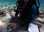 NOAA Maritime archaeologist Dr. Kelly Gleason documents the housing for the plane's cable control system at the site of a Brewster F2A-3 Buffalo wrecked at Midway Atoll in February of 1942.