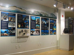 View of the Lost on a Reef exhibit at the Nantucket Whaling Museum.