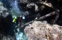 Kelly Gleason documents an anchor in the reef at the Gledstanes shipwreck at Kure Atoll. 