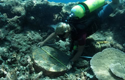 Dr. Kelly Gleason documents a grinding stone at the <em>Two Brothers</em> shipwreck site.