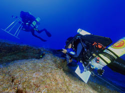NOAA rebreather divers conduct coral, algae, and fish surveys at 200 feet at Laysan Island.