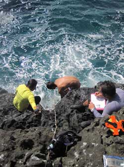 Team members count and measure intertidal species.