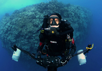 Diver in front of coral. 