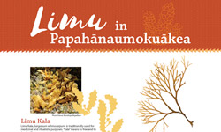 Papahānaumokuākea Limu poster