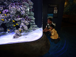 Father and son enjoy a quiet moment in front of the aquarium.