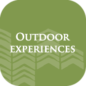 Outdoor Experiences graphic