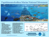 Papahānaumokuākea Mural with Identification Guide.  Click for a large image to print.