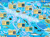 Papahānaumokuākea Maze Map.