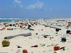 A beach on Laysan Island, thousands of miles from civilization,  is littered with refuse from afar.