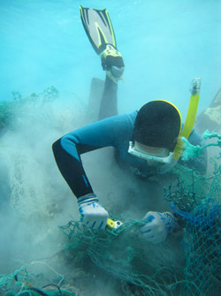 Diver cuts mesh from derelict fishing nets.