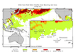 Coral Bleaching Conditions