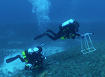 Video footage of scientists conducting surveys of marine fishes and algae on deep coral reefs at depths of 200-230 feet at Pearl and Hermes Atoll in Papahānaumokuākea Marine National Monument.
