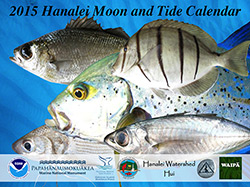 2015 Hanalei Moon and Tide Calendar.