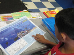 4th grade student studying the artistic fish identification activity.