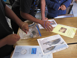 Lānaʻi High School students learn about marine debris.