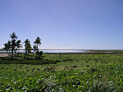 A view of Laysan Island.
