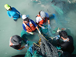 The Marine Debris Team cuts up discarded fishing nets for removal at Pearl and Hermes Atoll.