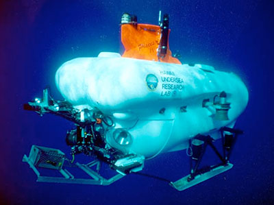 The Hawaiʻi Undersea Research Lab’s Pisces submersible was used to collect the specimens.