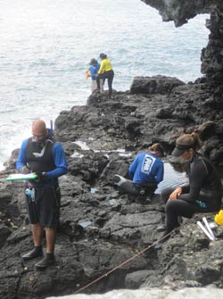 Researchers monitor the rocky shoreline habitat.