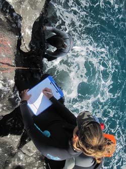 Researchers Emily Fielding and Ilysa Iglesias record intertidal species.