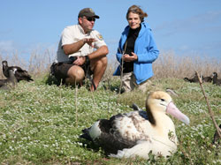 Pete Leary shares the successful return of the short-tailed albatross with Dr. Sylvia Earle.