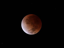 Total lunar eclipse, Laysan Island, December 10 2011.