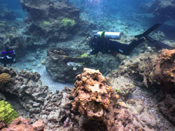 Kelly Gleason examines a large trypot at the <em>Two Brothers</em> shipwreck site in Papahānaumokuākea.