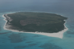 Lisianski Island was uninhabitated during the tsunami and appeared to have suffered little damage.