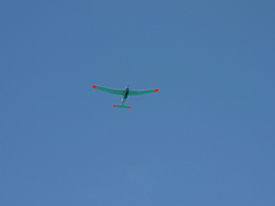 A view of the Puma in flight.