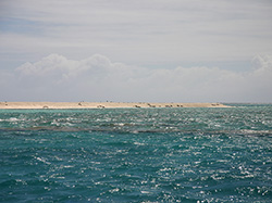 A view of Tern Island from the launch boat.