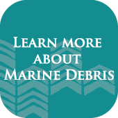 Learn about Marine Debris graphic