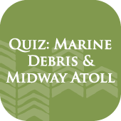 Marine Debris Quiz graphic