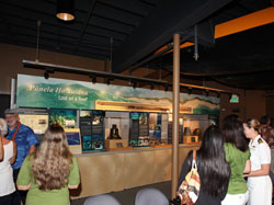 A view of the Lost on a Reef exhibit.