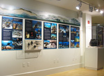 view of the Lost on a Reef exhibit at the Nantucket Whaling Museum.