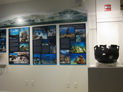 View of the Lost on a Reef exhibit with the conserved cast iron cooking pot.