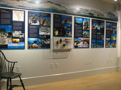 View of the Lost on a Reef exhibit at the Nantucket Whaling Museum.