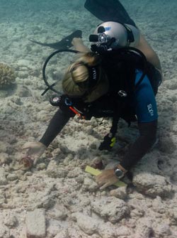 Kelly Gleason investigates an artifact at the <em>Two Brothers</em> shipwreck site.