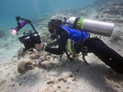 Stephani Gordon documents maritime archaeologists surveying the Two Brothers shipwreck.