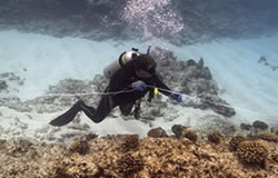 Tane Casserley sets up a baseline at the Pearl shipwreck site at Pearl and Hermes Atoll.