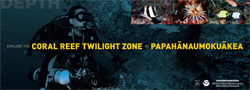 Explore the Coral Reef Twilight Zone in Papahānaumokuākea Poster.