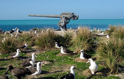 Contemporary view of Eastern Island at Midway Atoll.