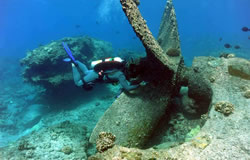 Derek Smith collects coral samples at the Quartette shipwreck site.
