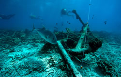 Anchors resting at the Churchill shipwreck site at French Frigate Shoals.