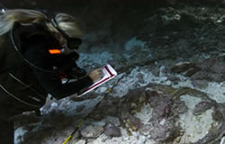 Kelly Gleason investigates a try pot at the whaling vessel <em>Gledstanes </em>at Kure Atoll.