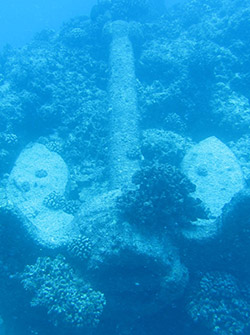 One of USNS <em>Mission San Miguel’s</em> anchors rests in the reef at Maro Reef.